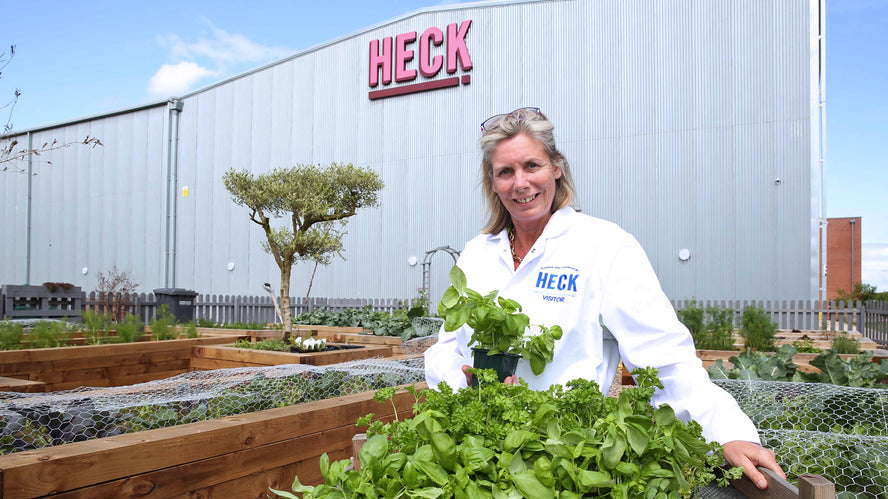 The Future Is Vertical! HECK Get Into Vertical Farming