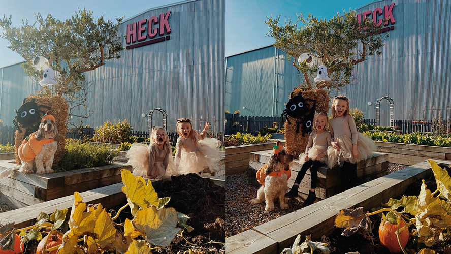 BOO! Our Spooktacular Farmer’s Market Is Back Just In Time For Halloween