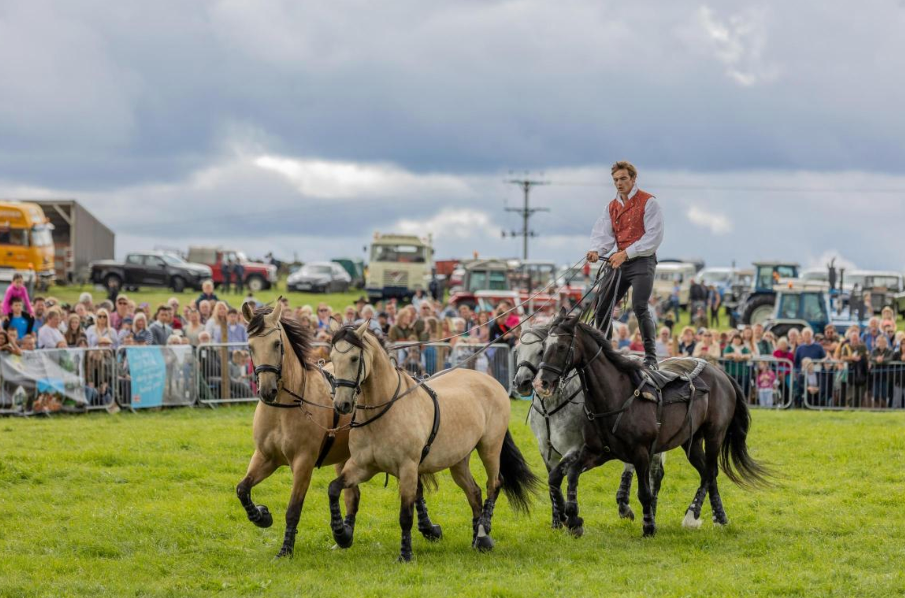 Stokesley Show