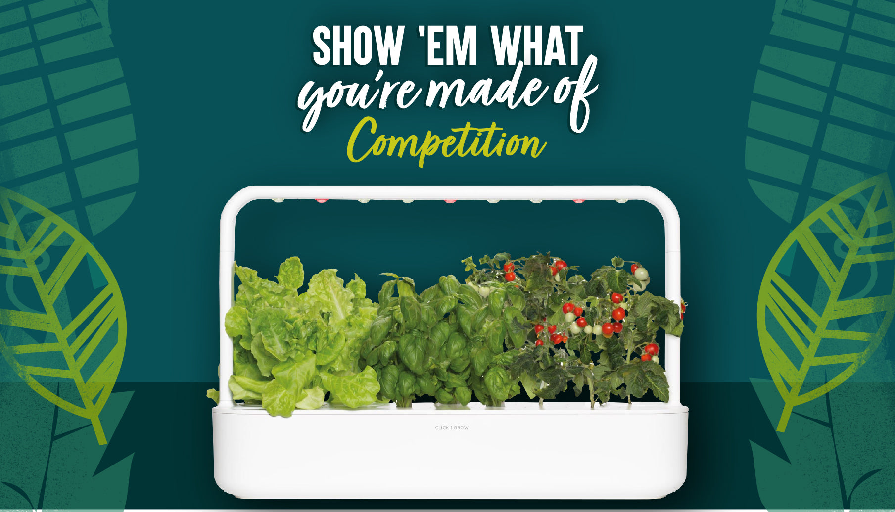 Win A Home Hydroponics Kit & Seeds To Get Growing Your Own With HECK