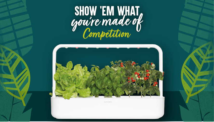 Win A Home Hydroponics Kit & Seeds To Get Growing Your Own With HECK