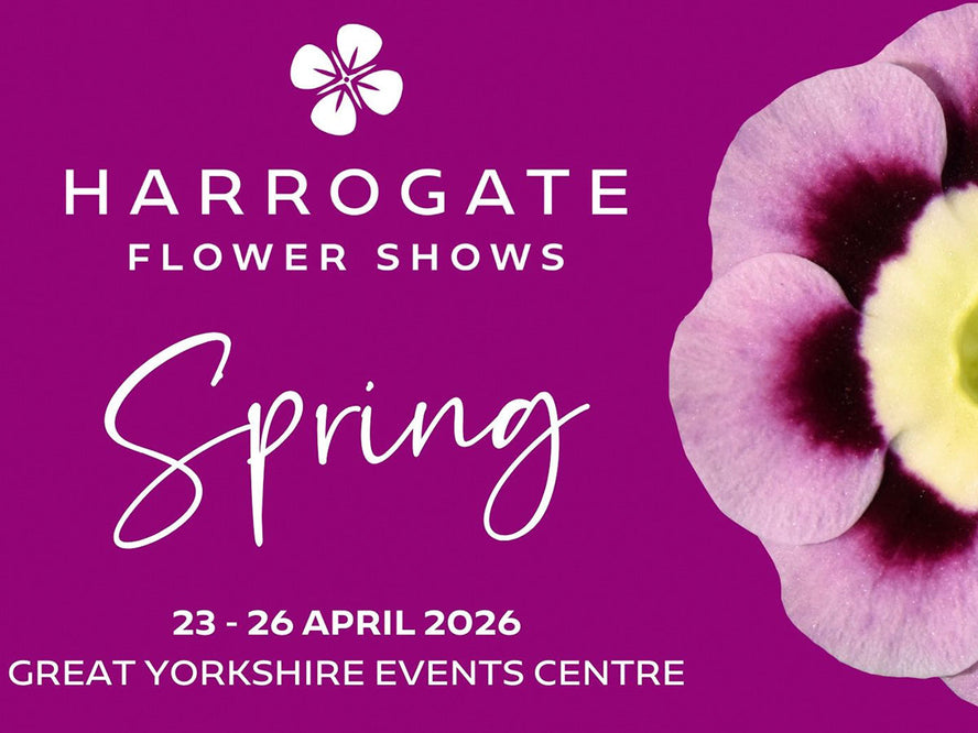 Harrogate Flower Show