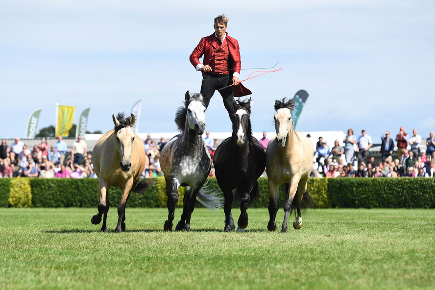 The Great Yorkshire Show