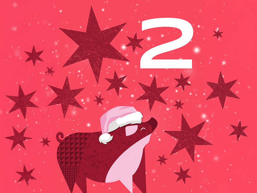 HECK! 12 Days of Christmas Giveaways: Win a Ninja CRISPi 4-in-1 Air Fryer