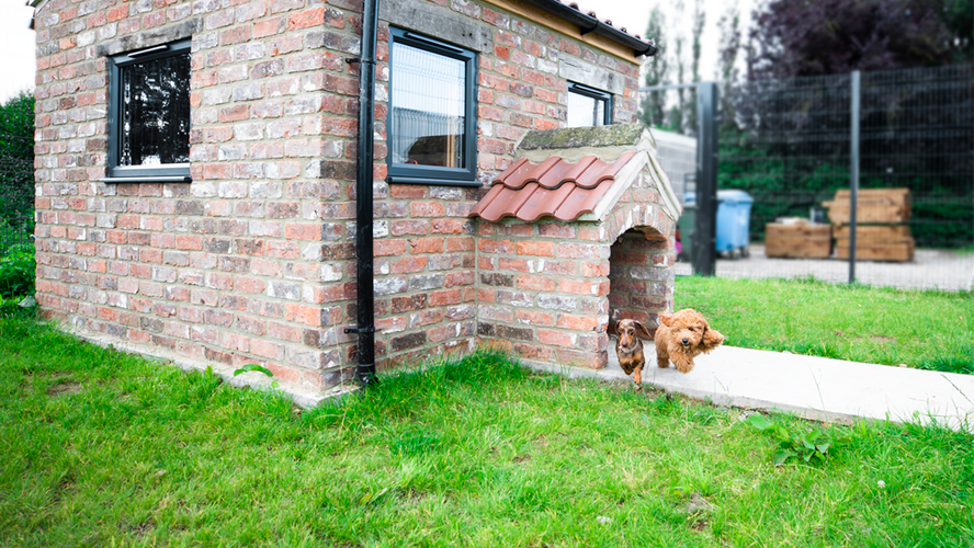 Have You Seen Our Suite Dog Hotel For HECK!’s Furry Family?