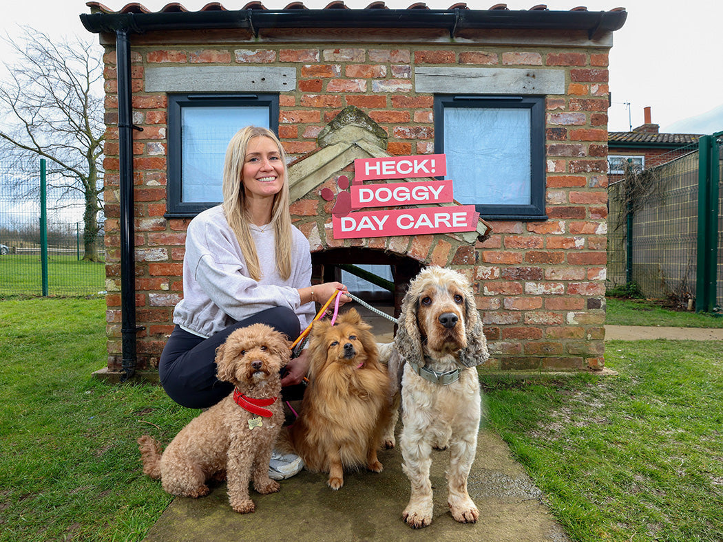 HECK!’s Office Pups Get the VIP Treatment at Our Doggy Day Spa