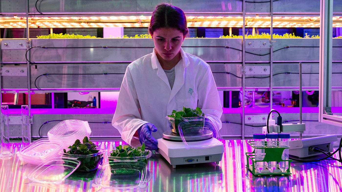 HECK Is On The Up! Our Vertical Farm Plans Have Lift Off!