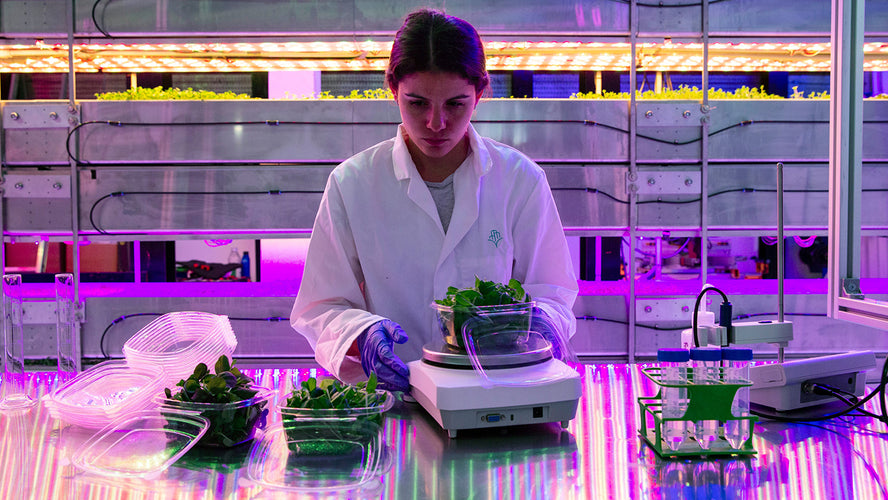 HECK Is On The Up! Our Vertical Farm Plans Have Lift Off!